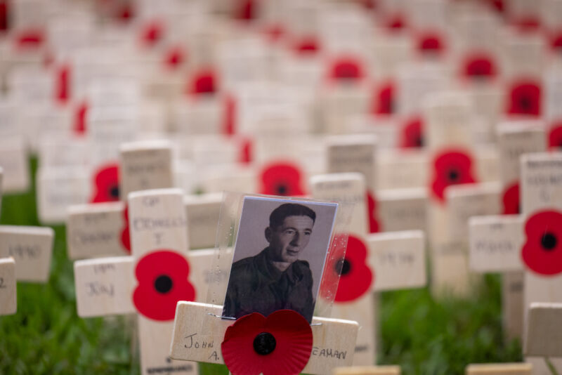A close-up of one of the regimental plots at the Field of Remembrance at Westminster Abbey in 2025 (photo: Dean and Chapter of Westminster -Picture Partnership)